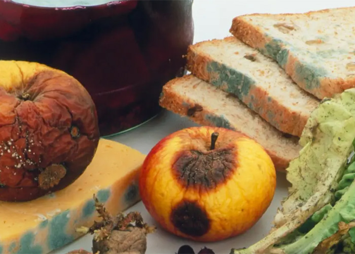 上海海關進口食品銷毀處理服務2022已更新(今日/資訊)